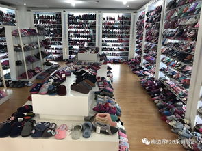 專供商超百貨業(yè)態(tài)杭州童裝與拖鞋標(biāo)桿生產(chǎn)企業(yè)訪廠教學(xué)活動圓滿成功，苗木花卉產(chǎn)業(yè)協(xié)同發(fā)展